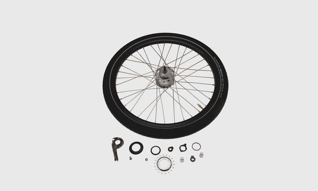 Rear wheel 24" 8 speed, for disc, singel-wall, w/ tire